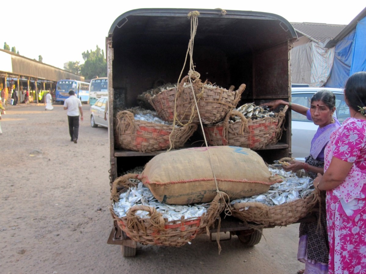 Mangalore Mangalore Mangalore Dry Fish Market
